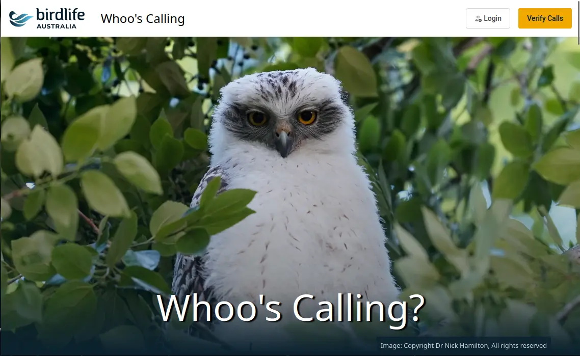 Screenshot of the Whoo's Calling website